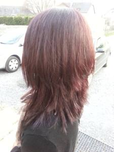 10150070_10203405210951368_14614947_n