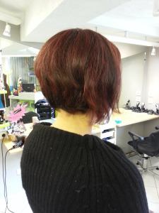 10344883_10203737633061713_293783241_n