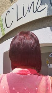 11774404_10207231895256084_4152314_n